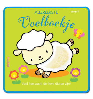 Allereerste voelboekje