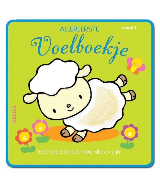 Allereerste voelboekje