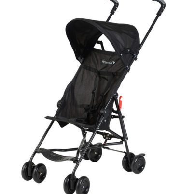 Prenatal buggy 1 stand
