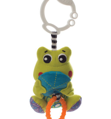 Playgro Peek-A-Boo wiggling frog